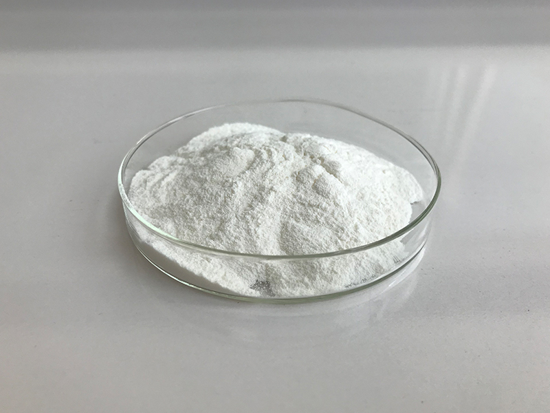 Bulk Chondroitin Sulfate PowderUSA Wholesale Supplier