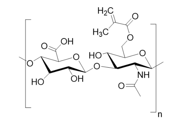 Methacrylated Hyaluronic Acid