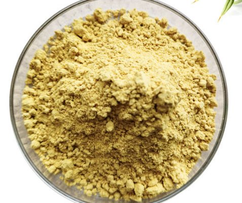 Milk Thistle Seed Extract 80% Silymarin Powder bulk supplier