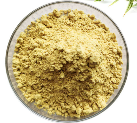 Milk Thistle Seed Extract 80% Silymarin Powder bulk supplier